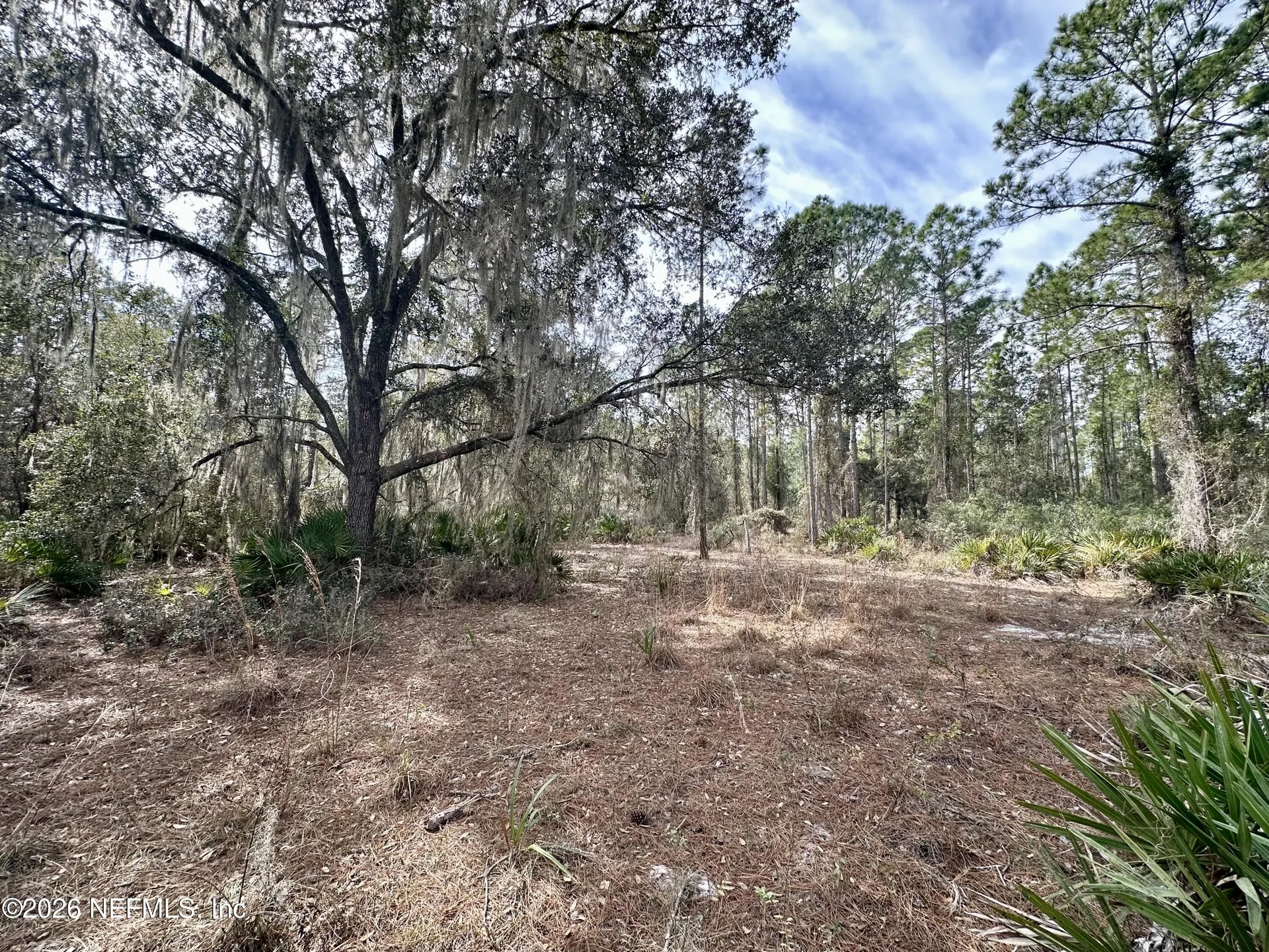 229 Marie Avenue Georgetown FL 32139