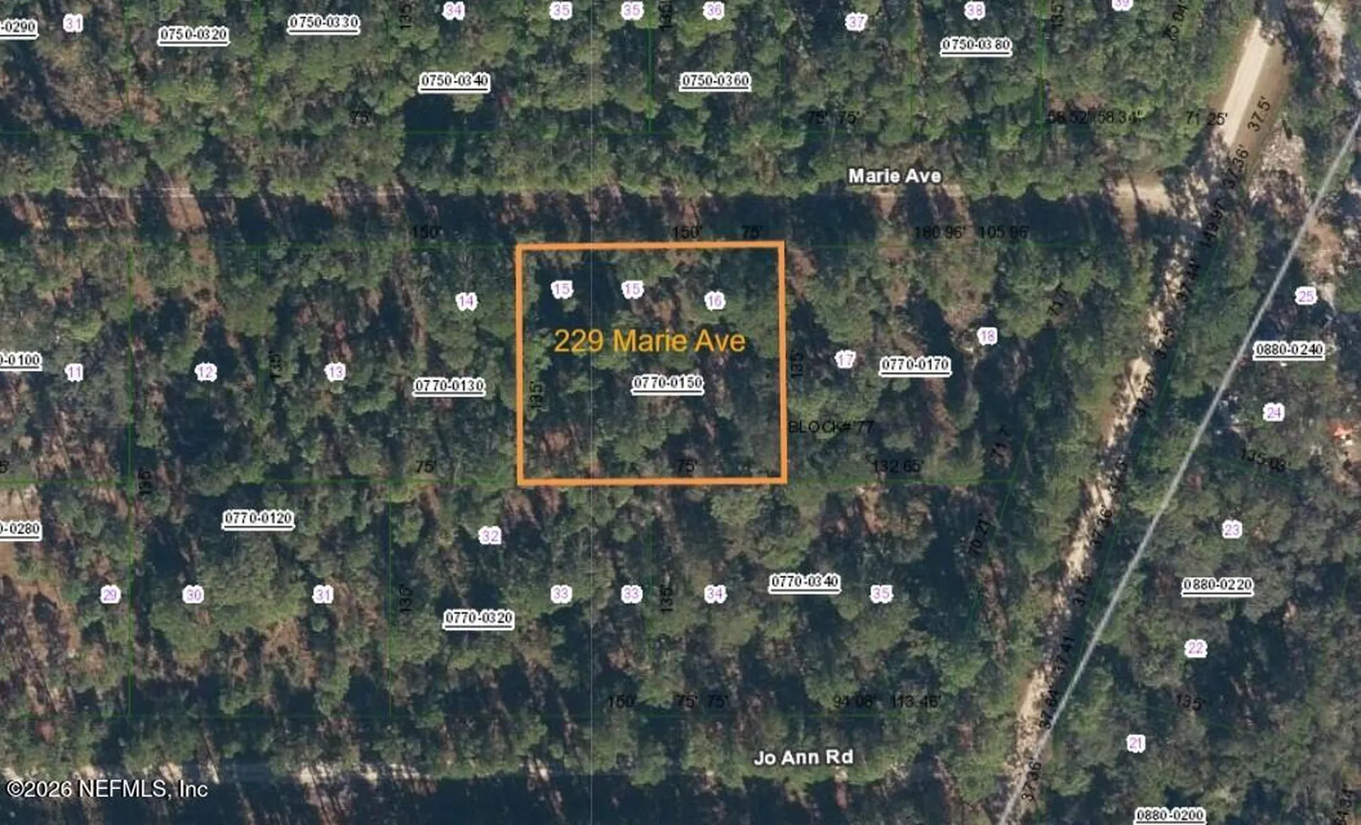 229 Marie Avenue Georgetown FL 32139
