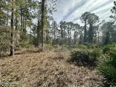 229 Marie Avenue Georgetown FL 32139