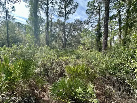 229 Marie Avenue Georgetown FL 32139