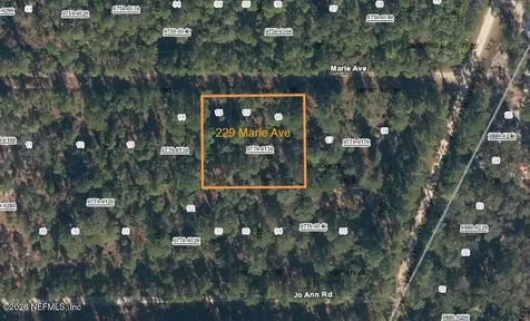 229 Marie Avenue Georgetown FL 32139