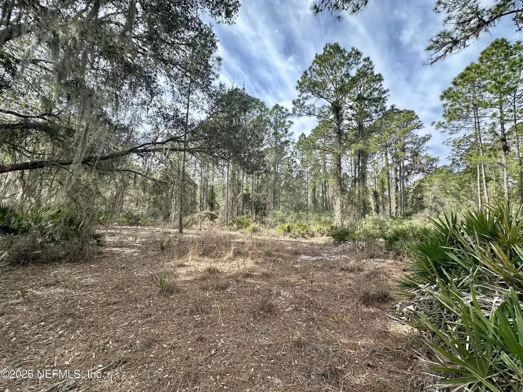 225 Marie Avenue Georgetown FL 32139