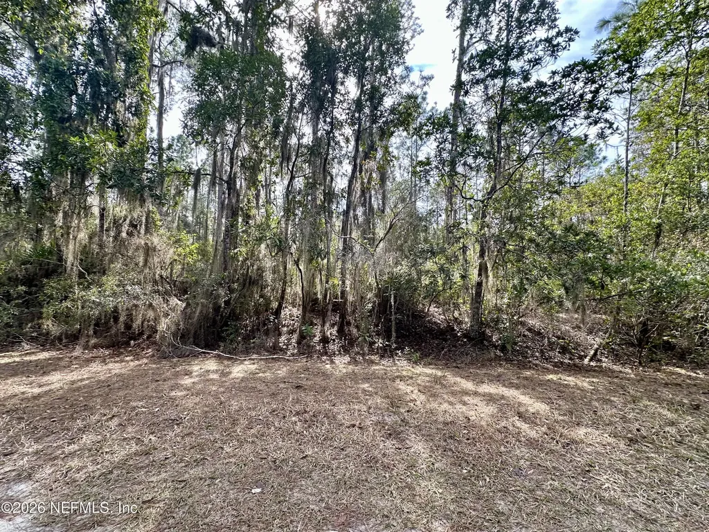 225 Marie Avenue Georgetown FL 32139