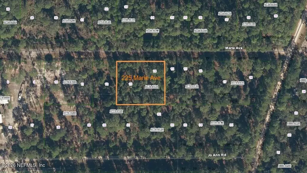 225 Marie Avenue Georgetown FL 32139