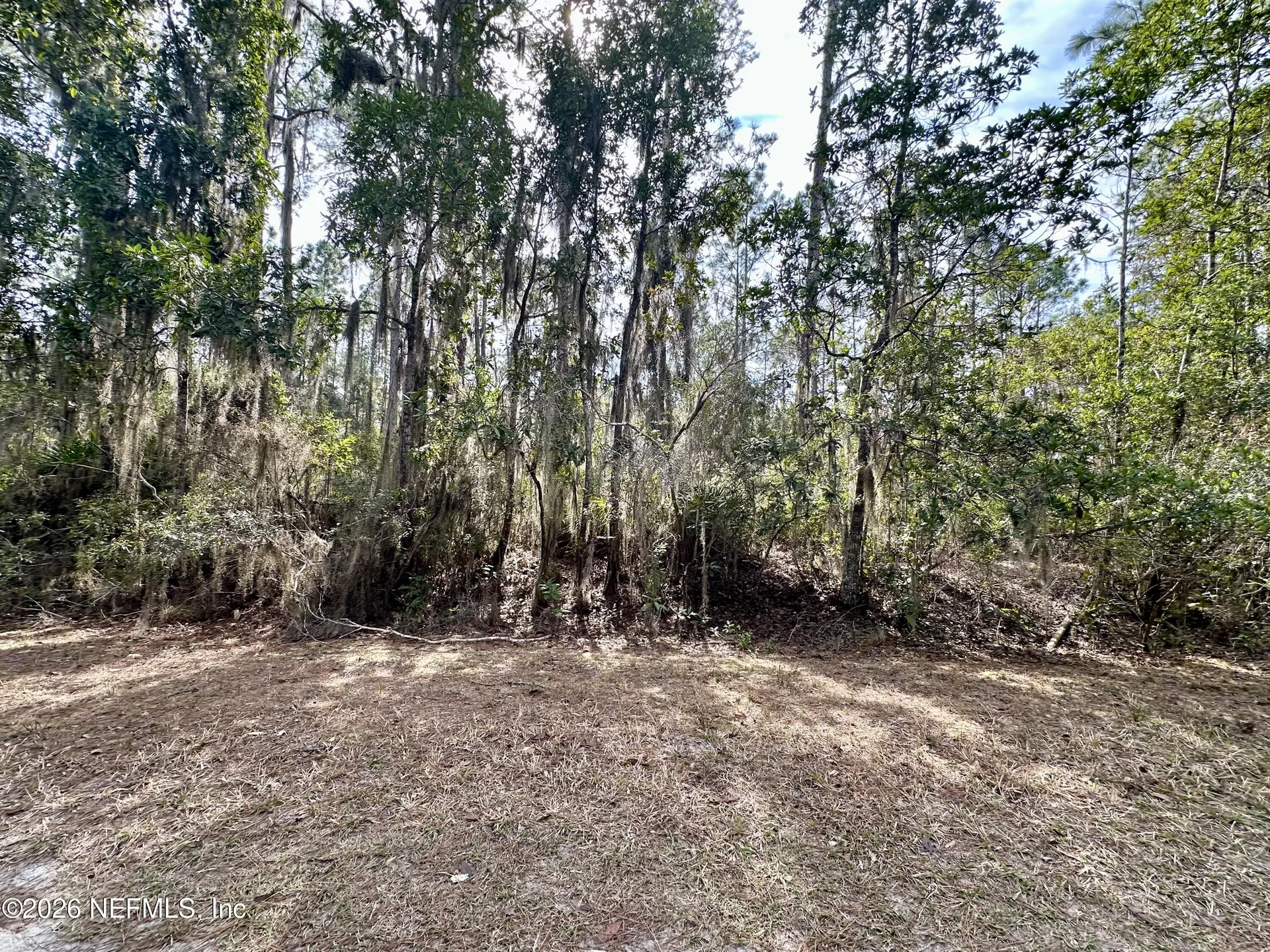 225 Marie Avenue Georgetown FL 32139