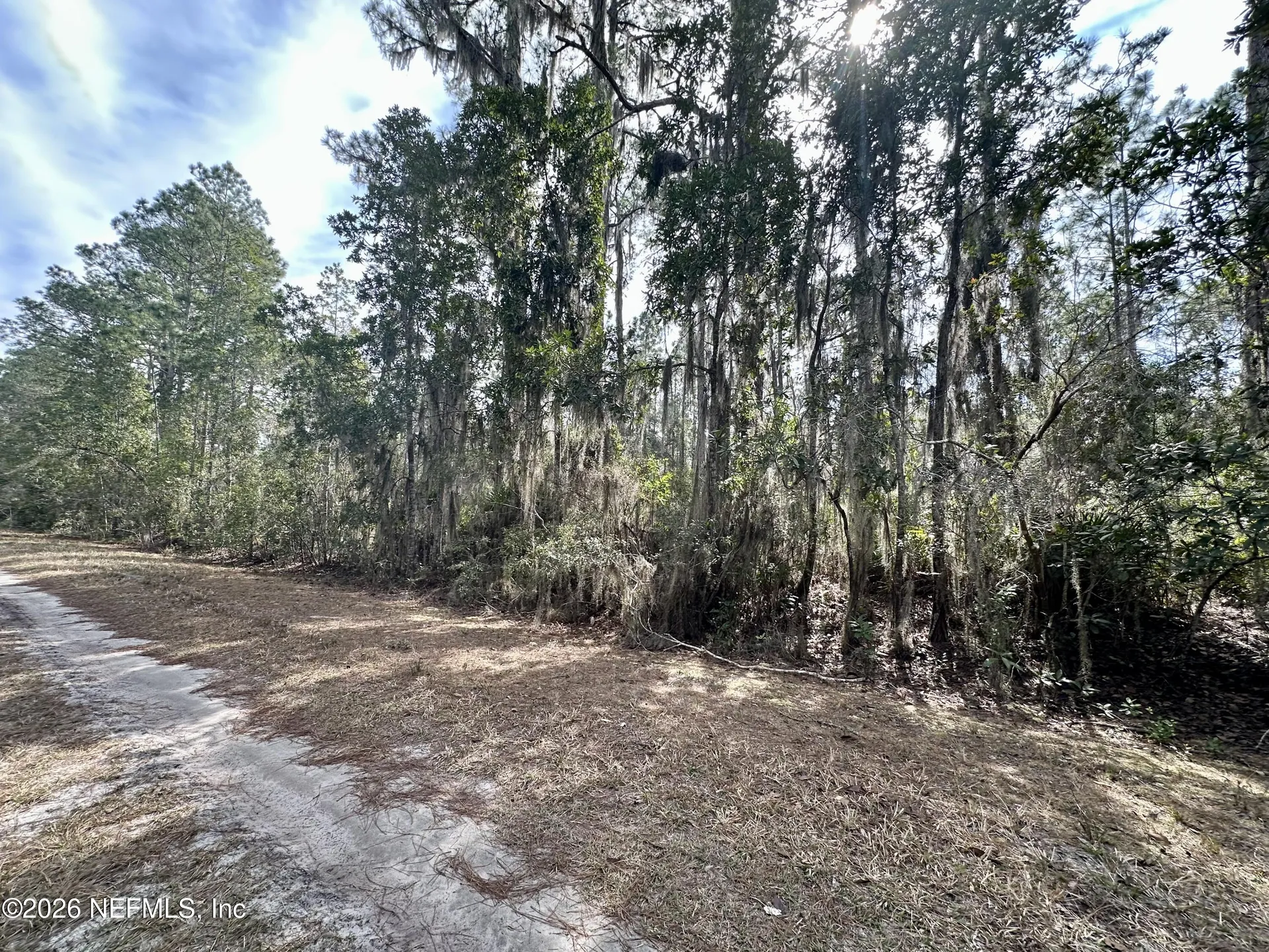 225 Marie Avenue Georgetown FL 32139