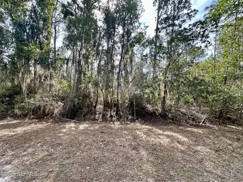 225 Marie Avenue Georgetown FL 32139