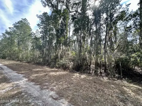 225 Marie Avenue Georgetown FL 32139