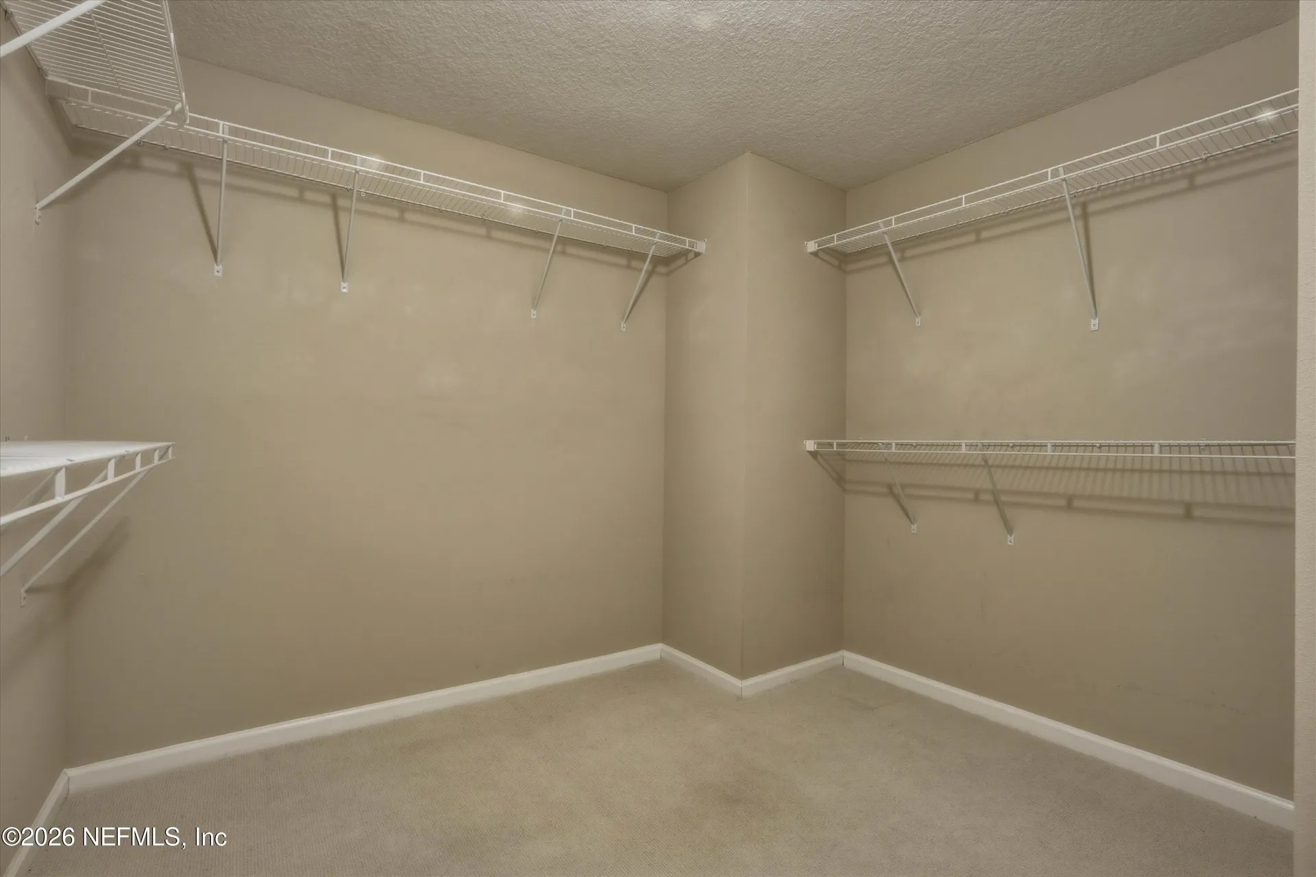 3908 Pipit Point Middleburg FL 32068