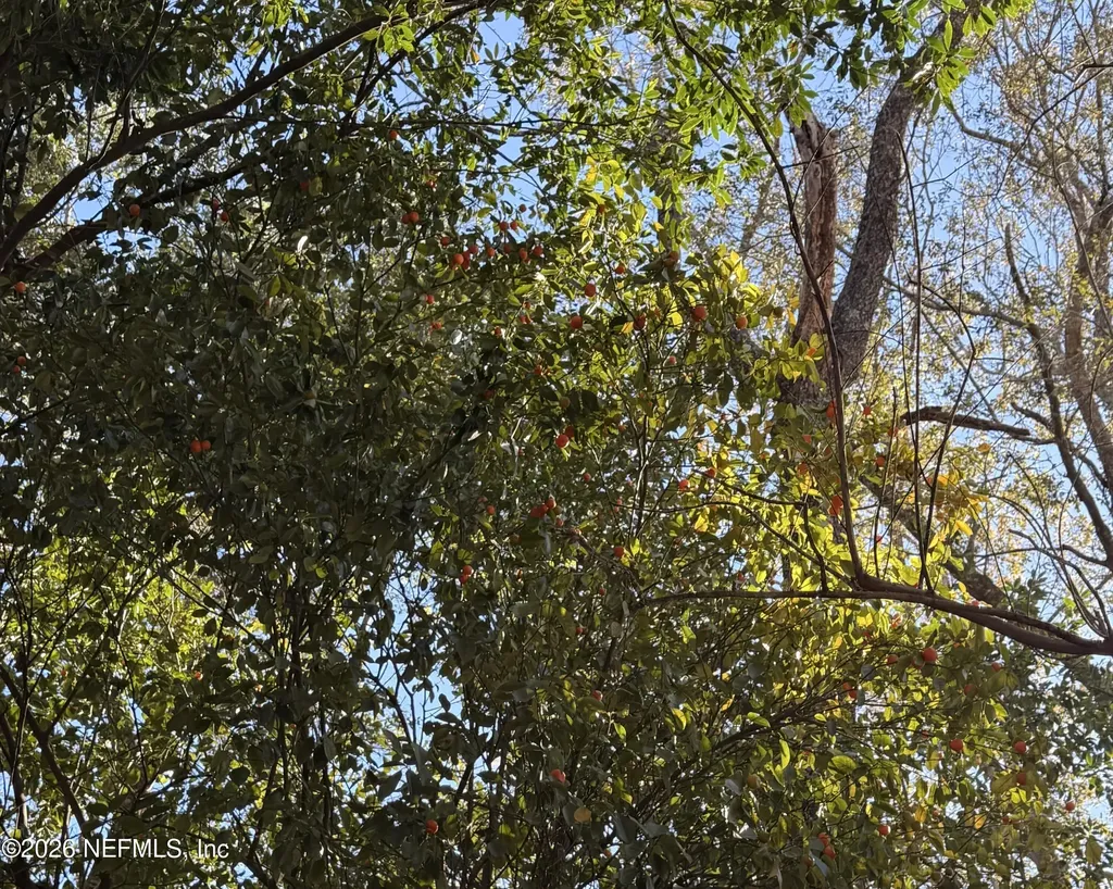 3015 NE 13th Drive Gainesville FL 32609