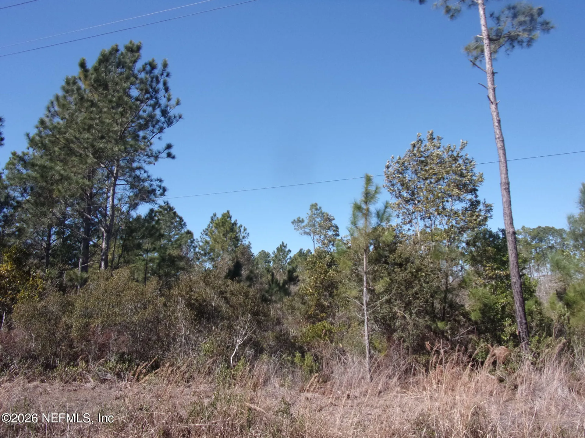 1658 S State Road 19 Palatka FL 32177