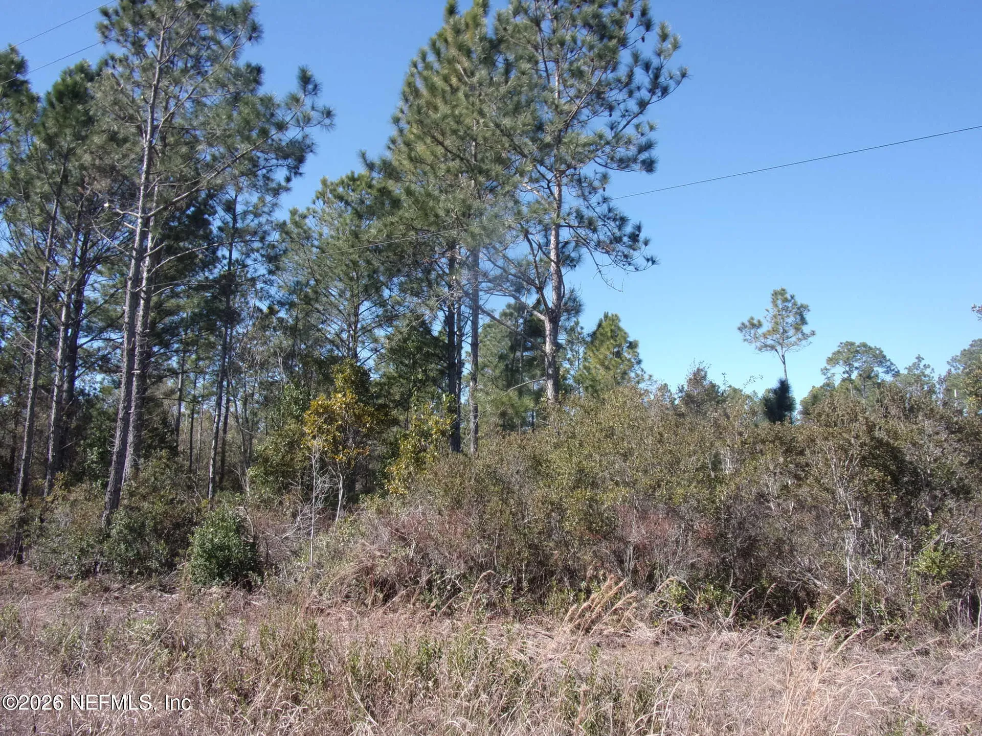 1658 S State Road 19 Palatka FL 32177