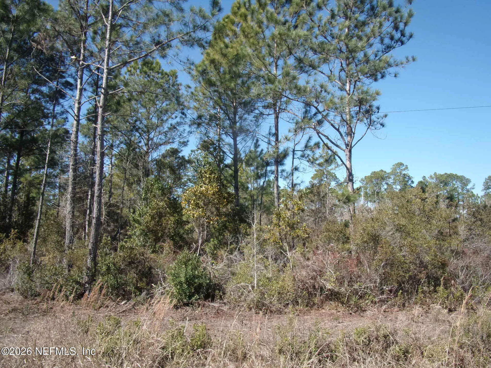 1658 S State Road 19 Palatka FL 32177