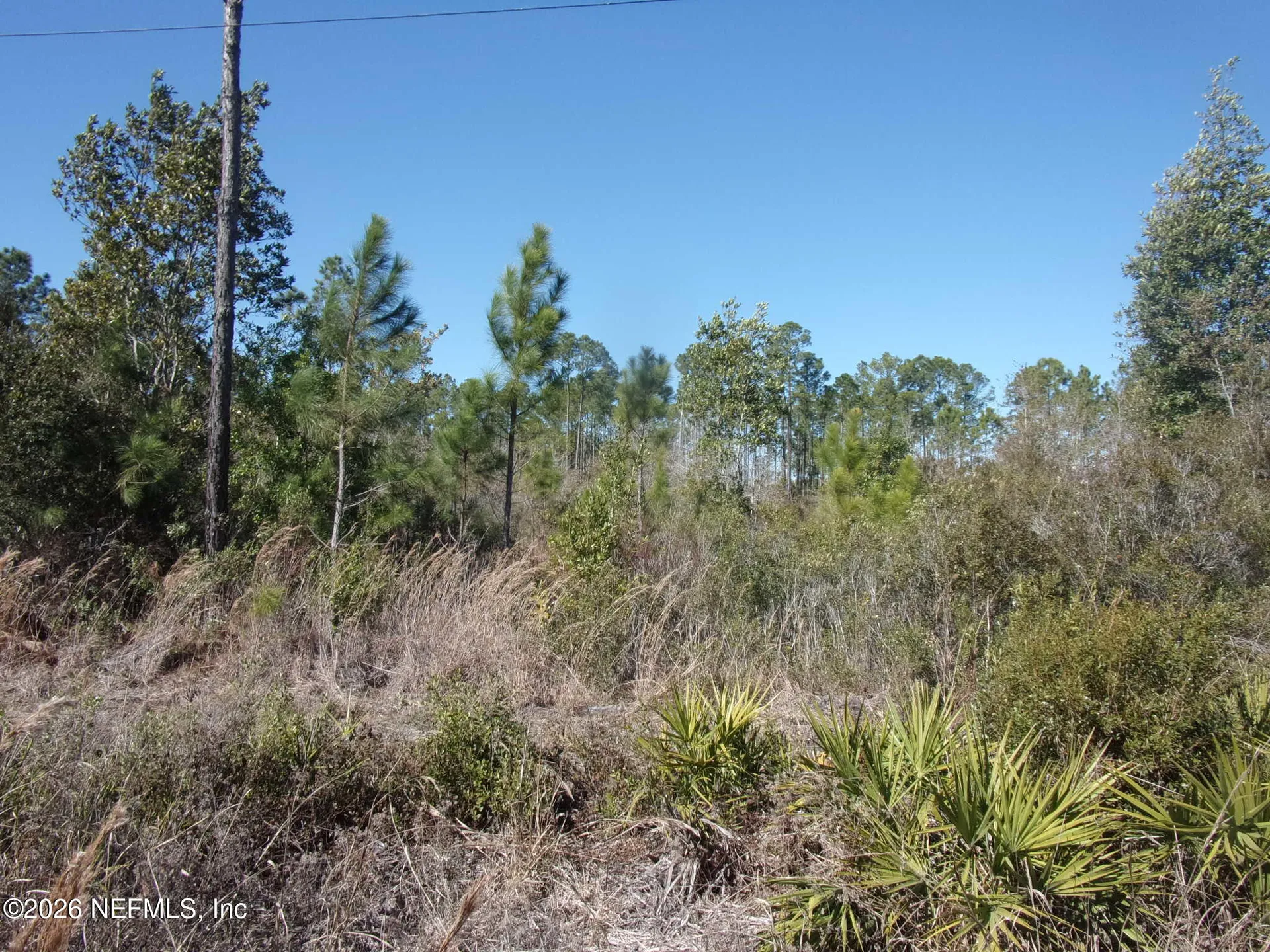 1658 S State Road 19 Palatka FL 32177