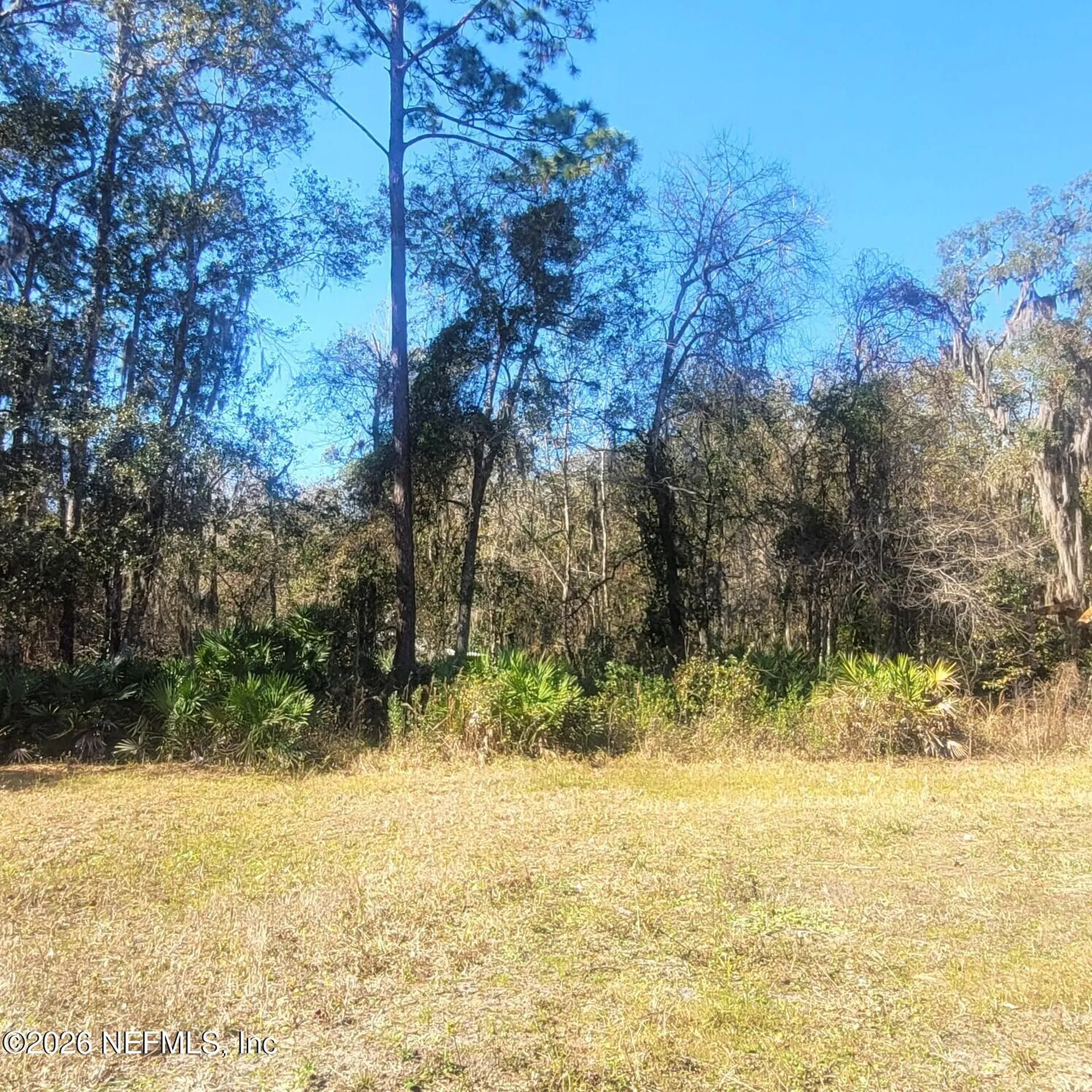 000 Moss Drive St. Augustine FL 32092