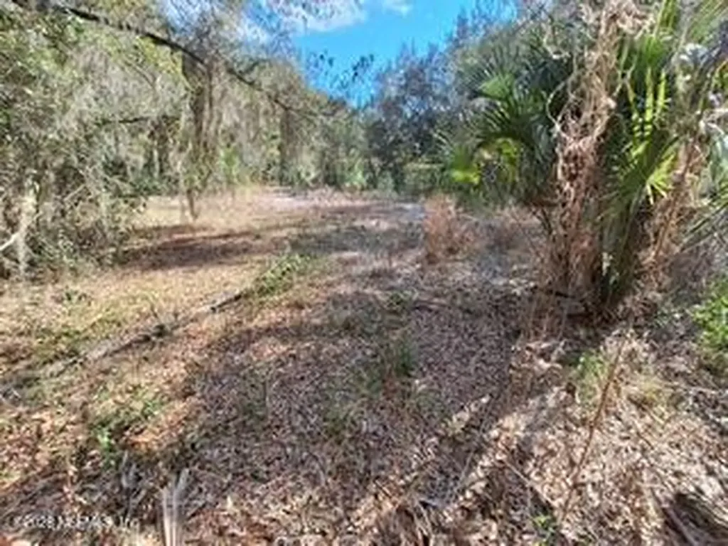 197 County Road 207a East Palatka FL 32131