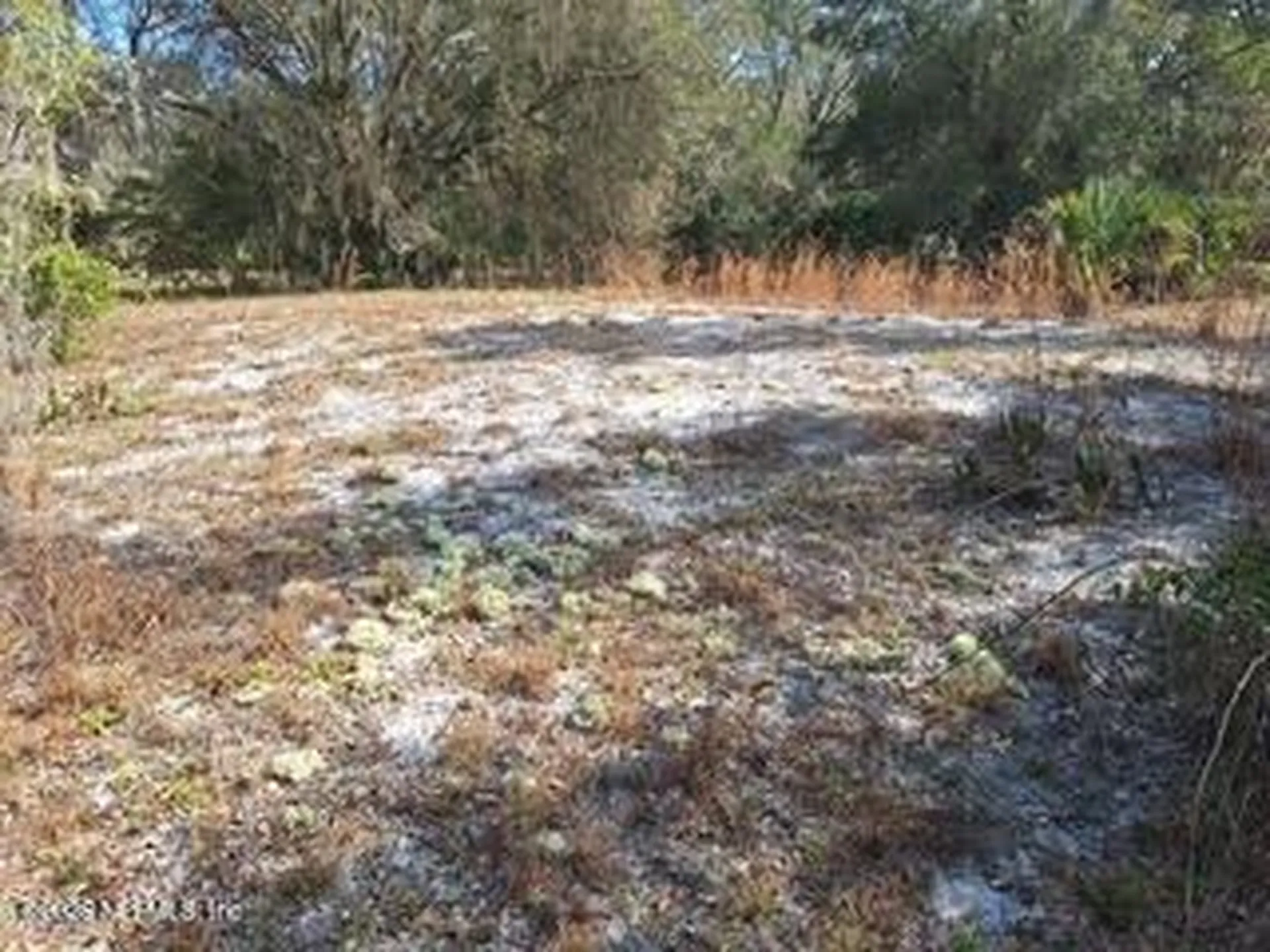 197 County Road 207a East Palatka FL 32131