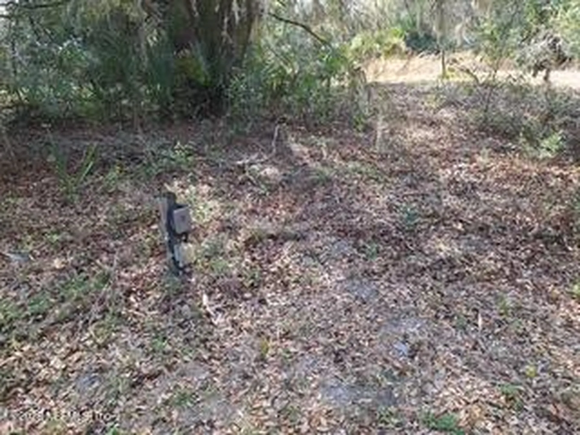 197 County Road 207a East Palatka FL 32131