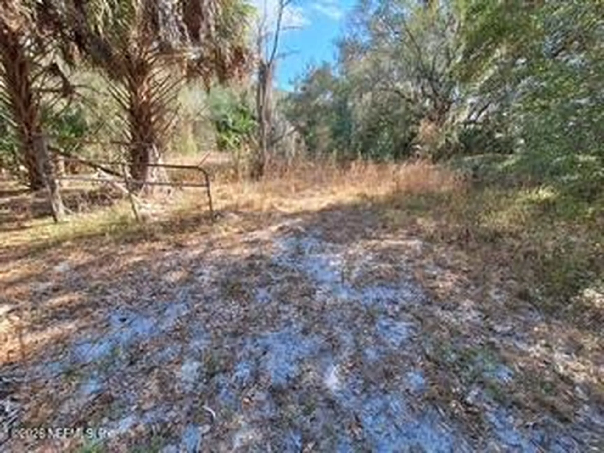 197 County Road 207a East Palatka FL 32131