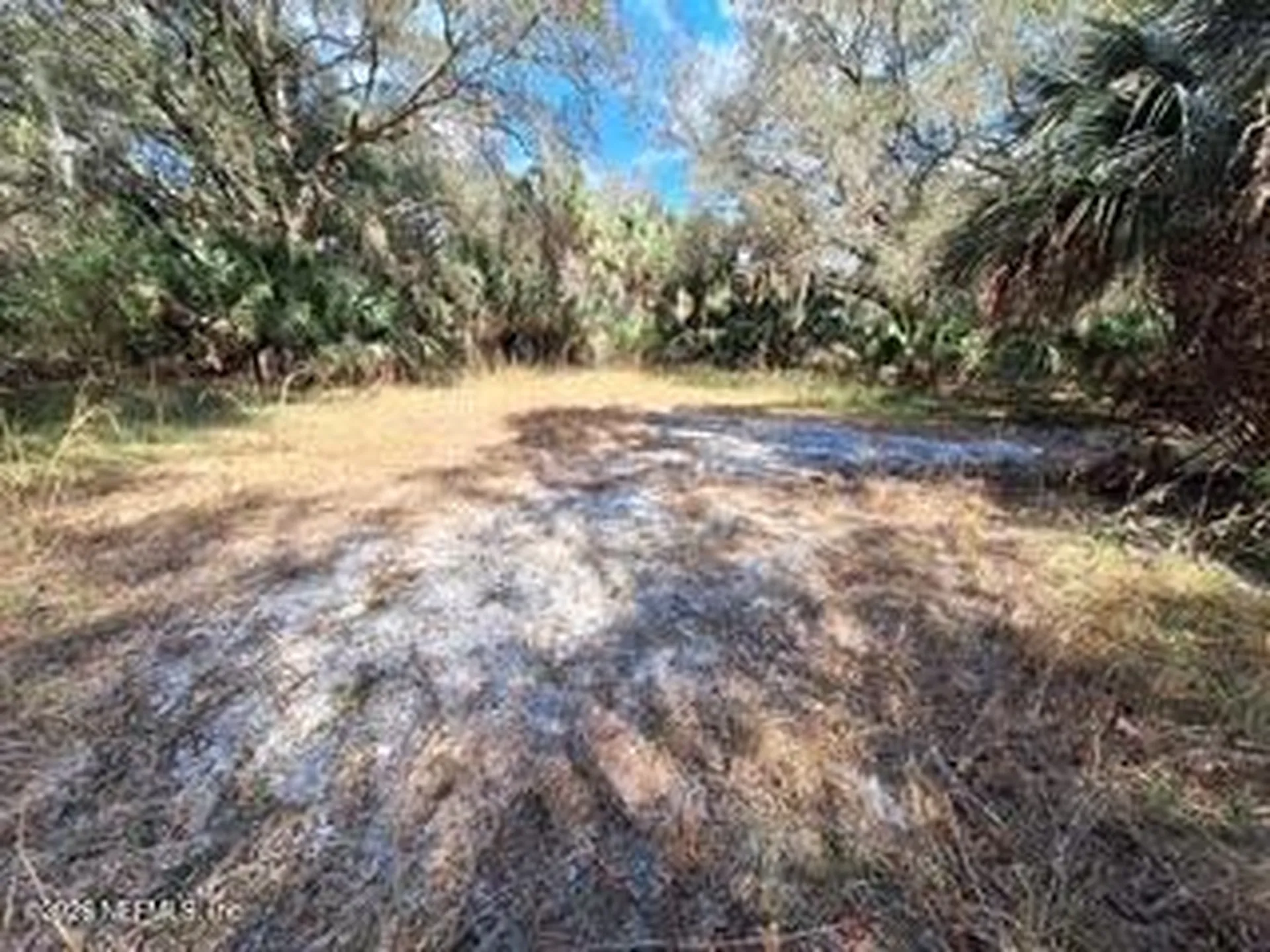 197 County Road 207a East Palatka FL 32131
