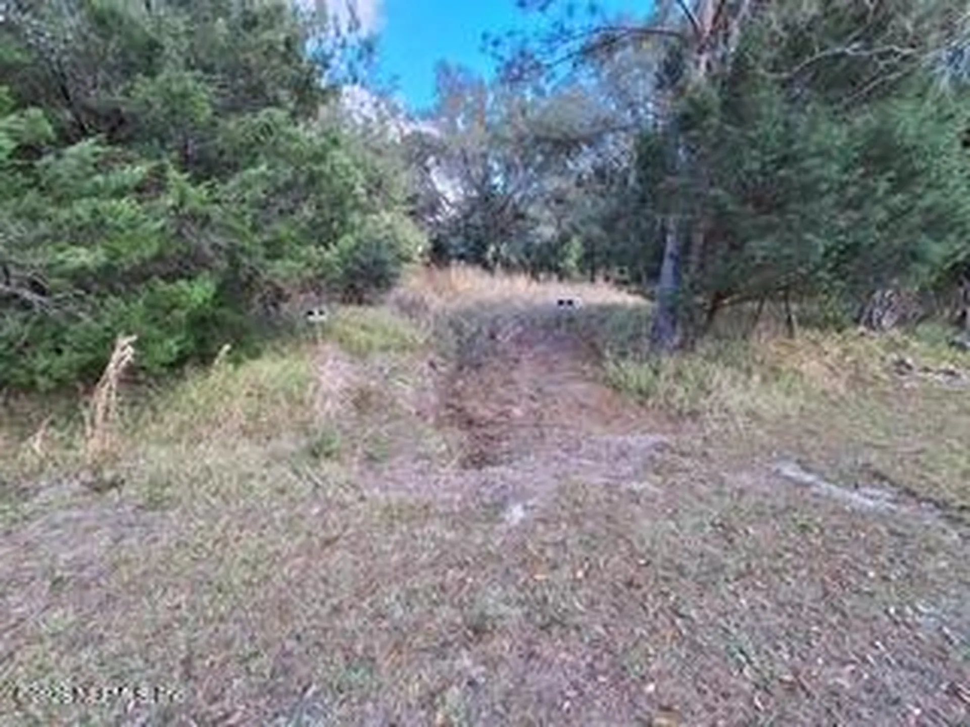 197 County Road 207a East Palatka FL 32131