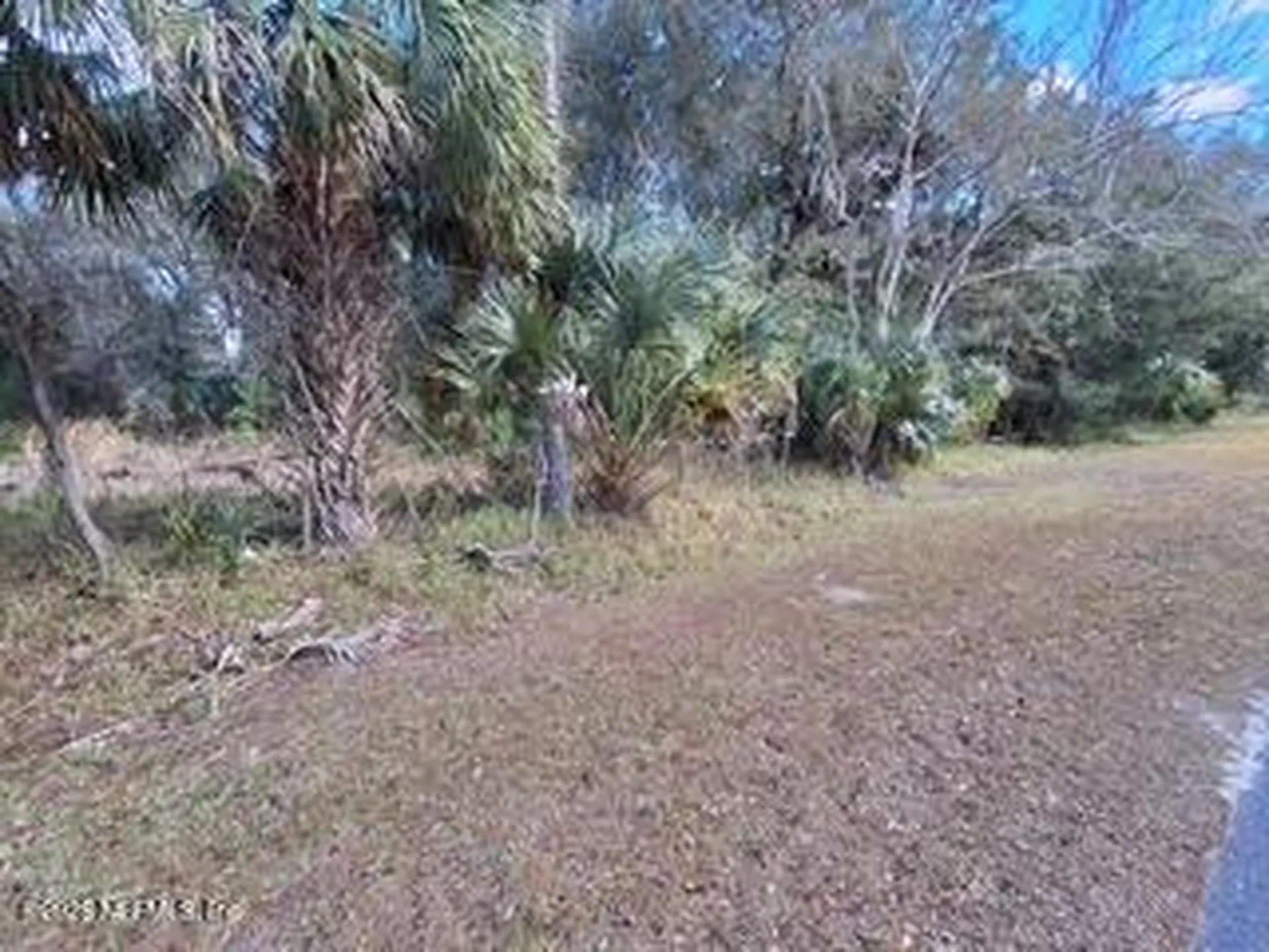 197 County Road 207a East Palatka FL 32131