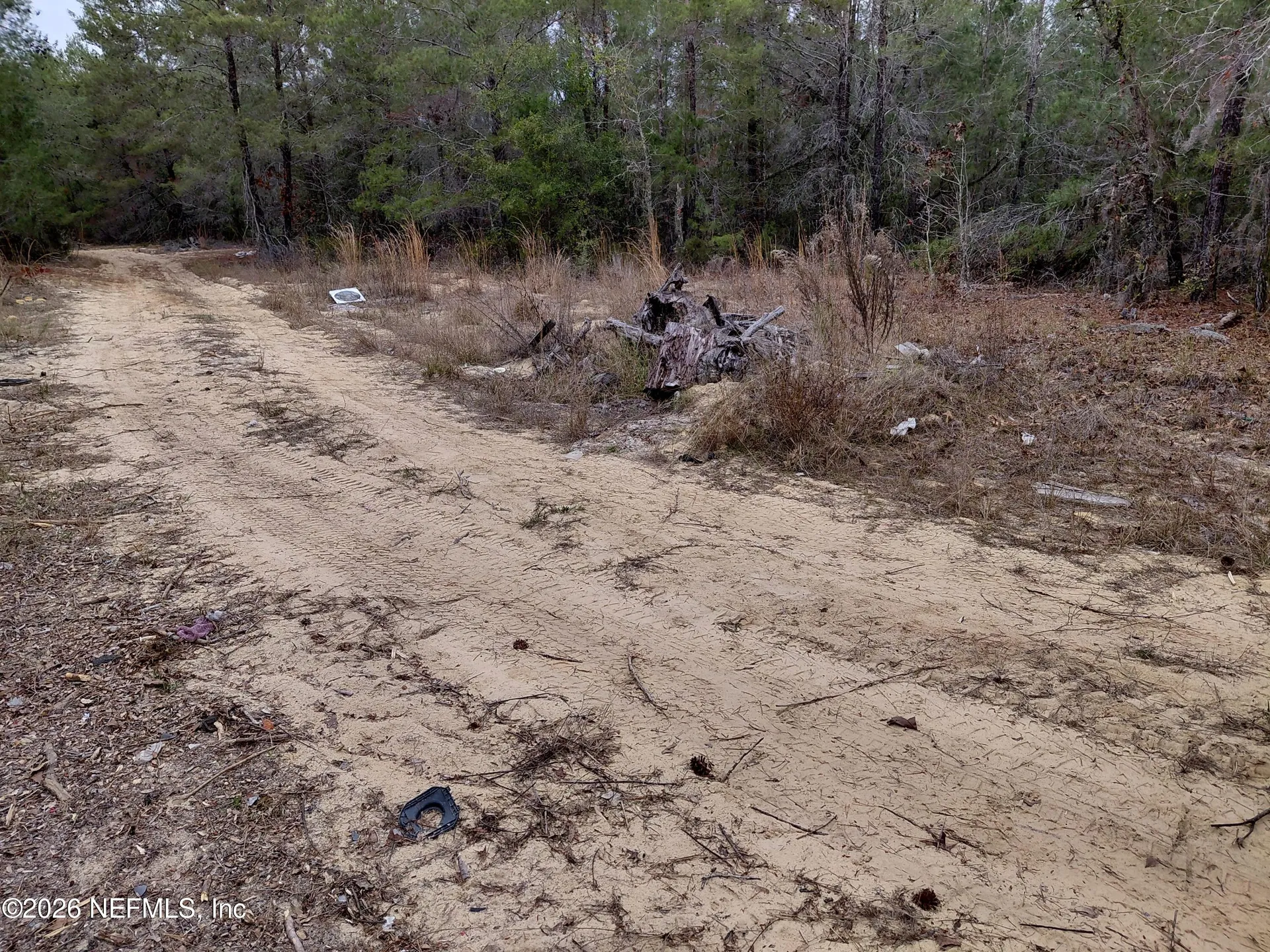 0 Oak Terrace Interlachen FL 32148
