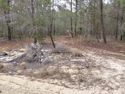 0 Oak Terrace Interlachen FL 32148