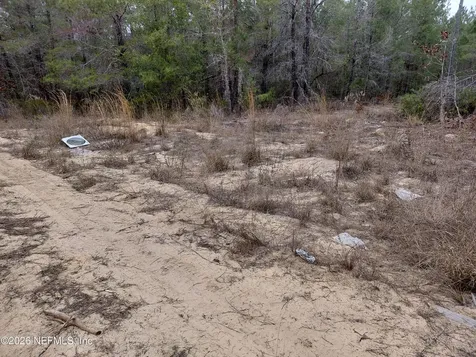 0 Oak Terrace Interlachen FL 32148