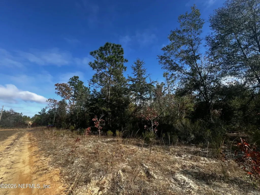 307 Lemon Street Interlachen FL 32148