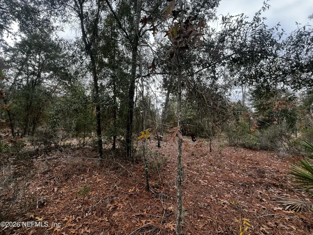 307 Lemon Street Interlachen FL 32148