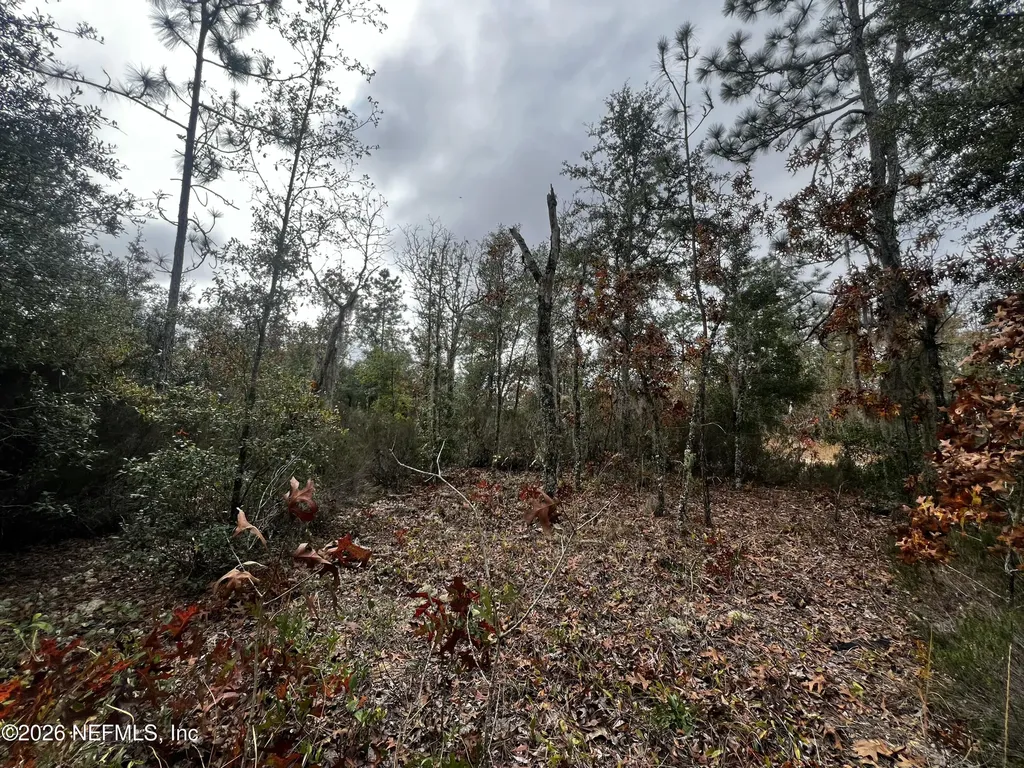 307 Lemon Street Interlachen FL 32148