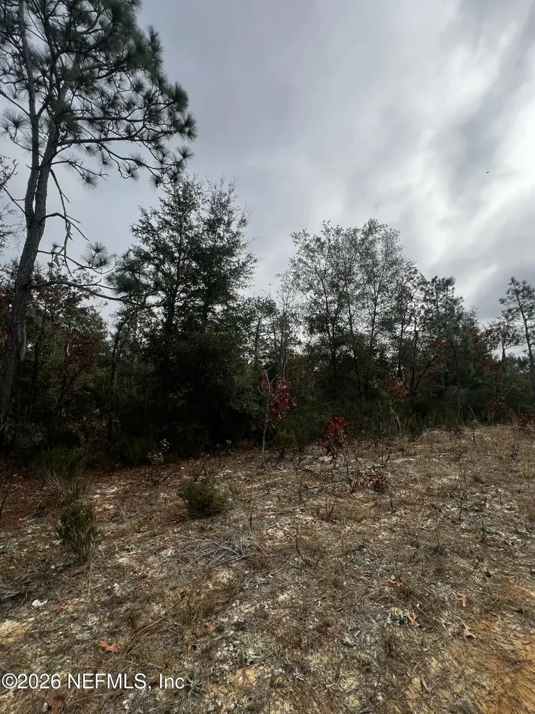 307 Lemon Street Interlachen FL 32148