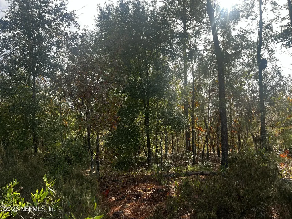 307 Lemon Street Interlachen FL 32148