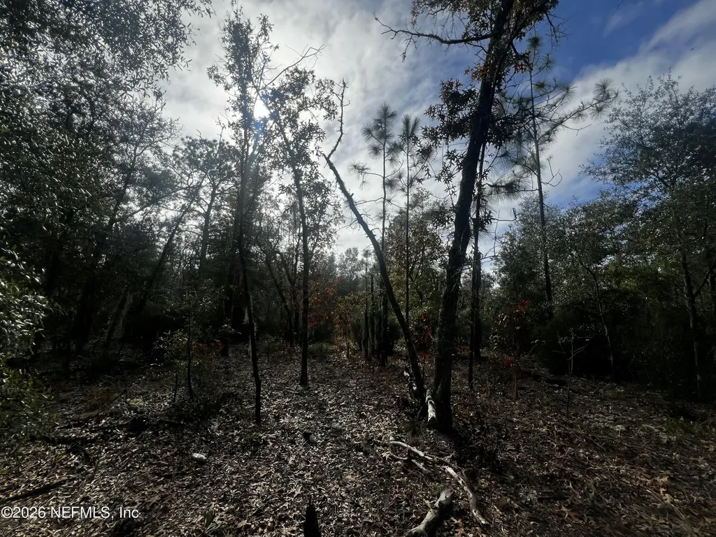 307 Lemon Street Interlachen FL 32148
