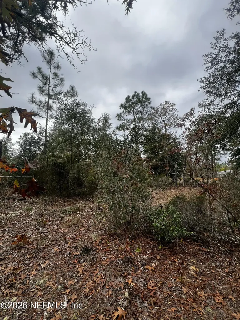 307 Lemon Street Interlachen FL 32148