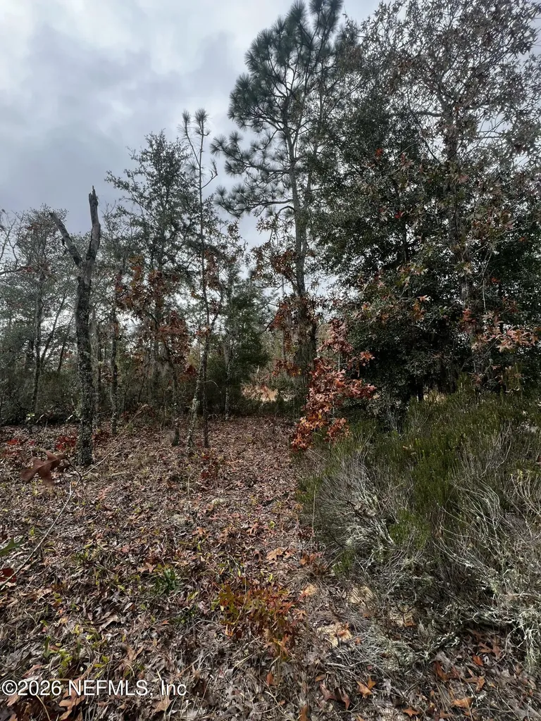 307 Lemon Street Interlachen FL 32148