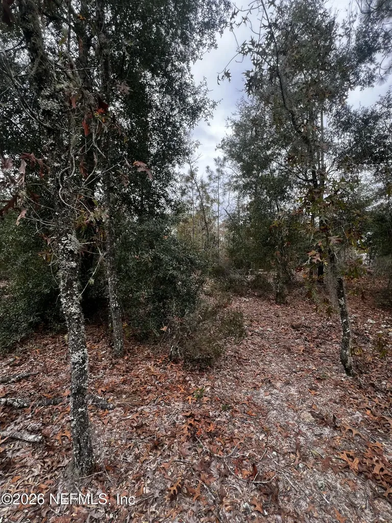 307 Lemon Street Interlachen FL 32148