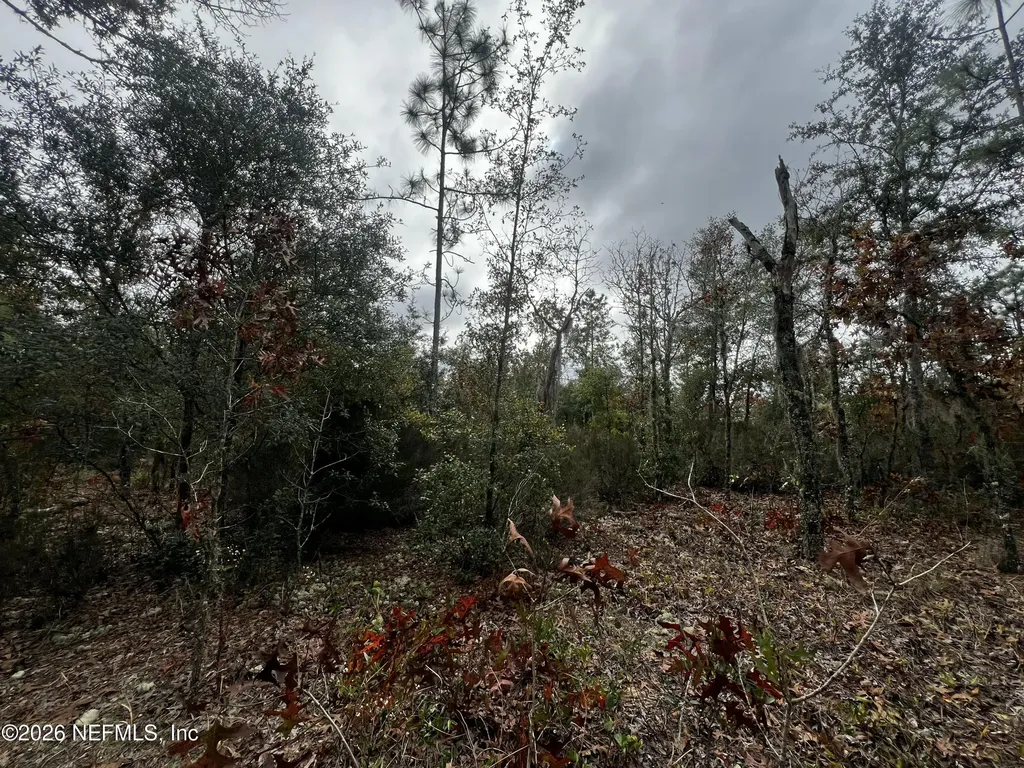 307 Lemon Street Interlachen FL 32148