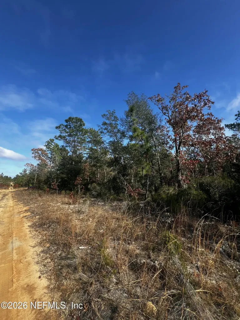 307 Lemon Street Interlachen FL 32148