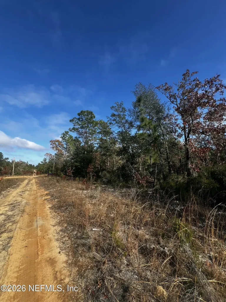 307 Lemon Street Interlachen FL 32148
