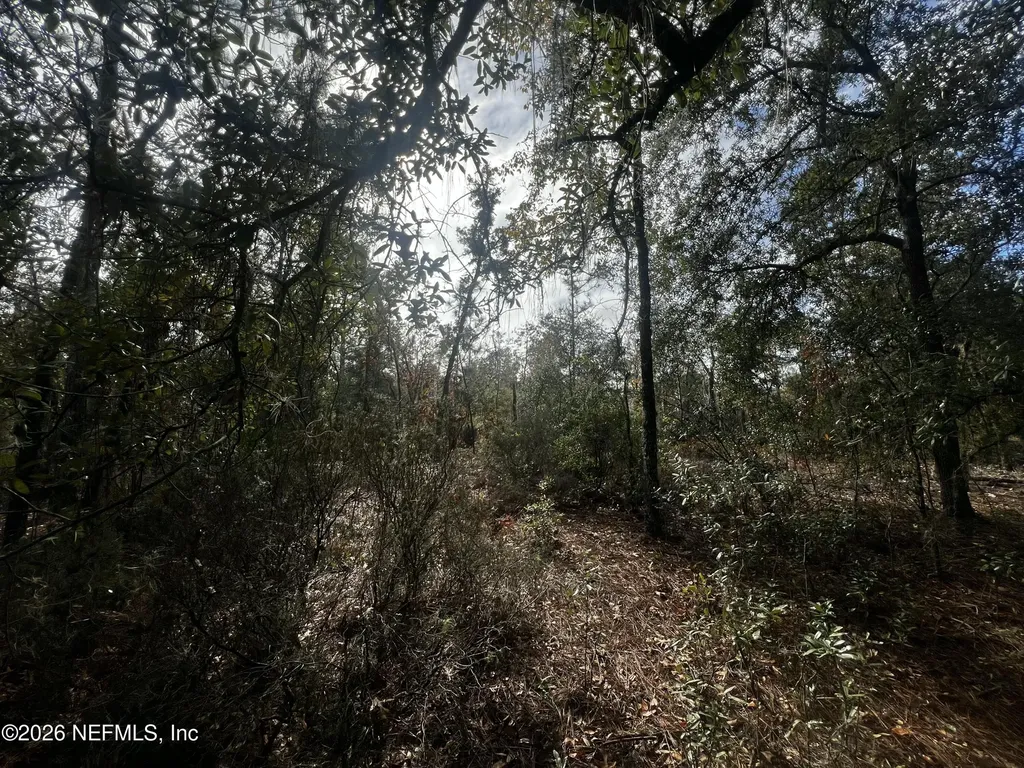 307 Lemon Street Interlachen FL 32148