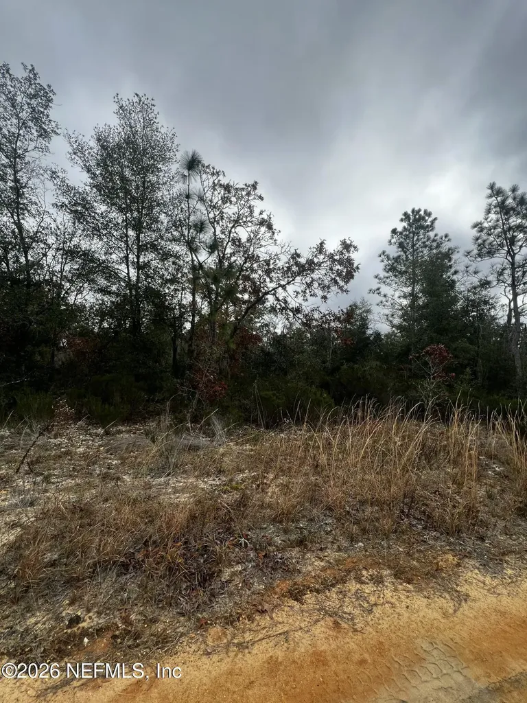 307 Lemon Street Interlachen FL 32148