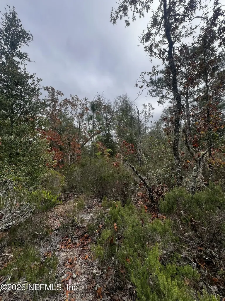 307 Lemon Street Interlachen FL 32148