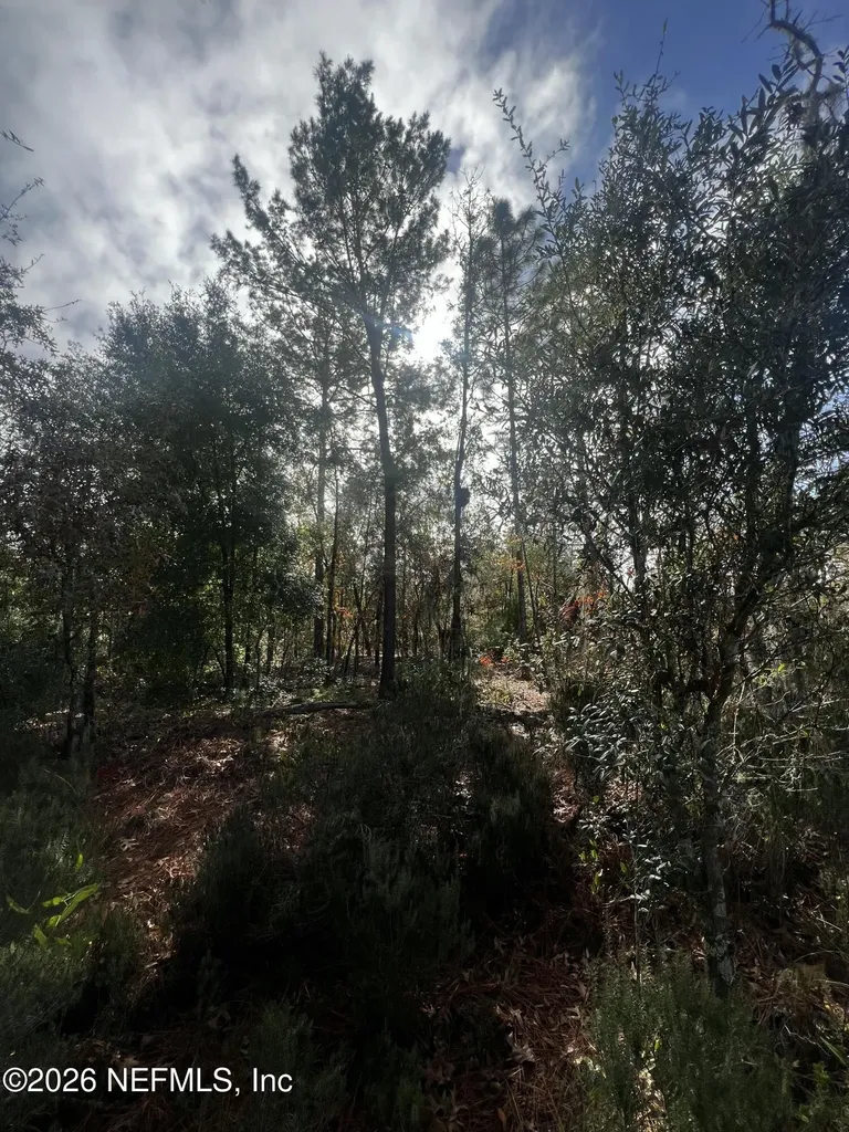 307 Lemon Street Interlachen FL 32148