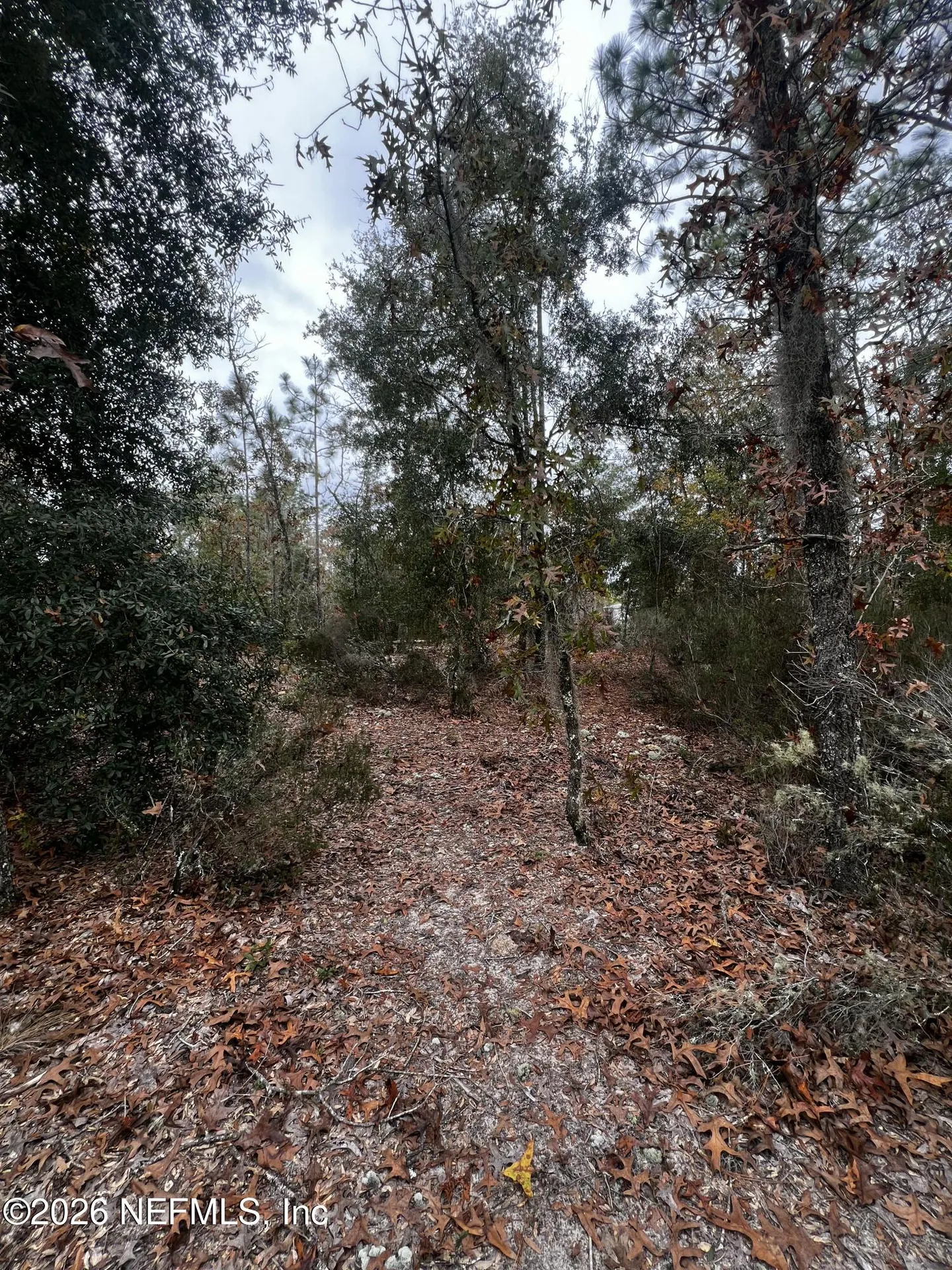 307 Lemon Street Interlachen FL 32148