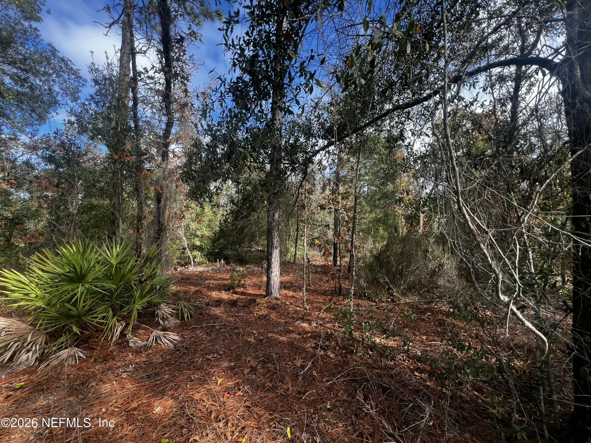307 Lemon Street Interlachen FL 32148