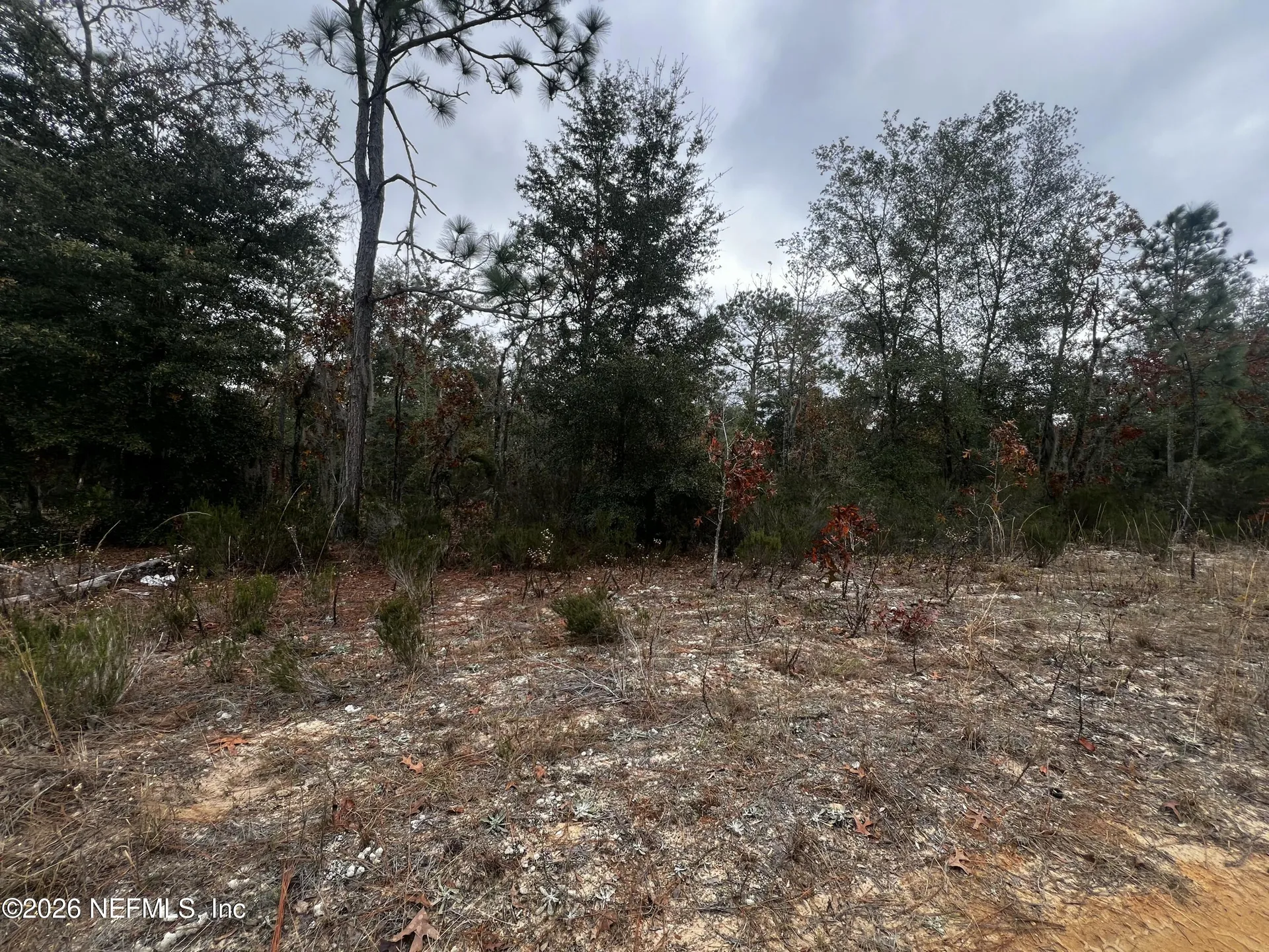 307 Lemon Street Interlachen FL 32148