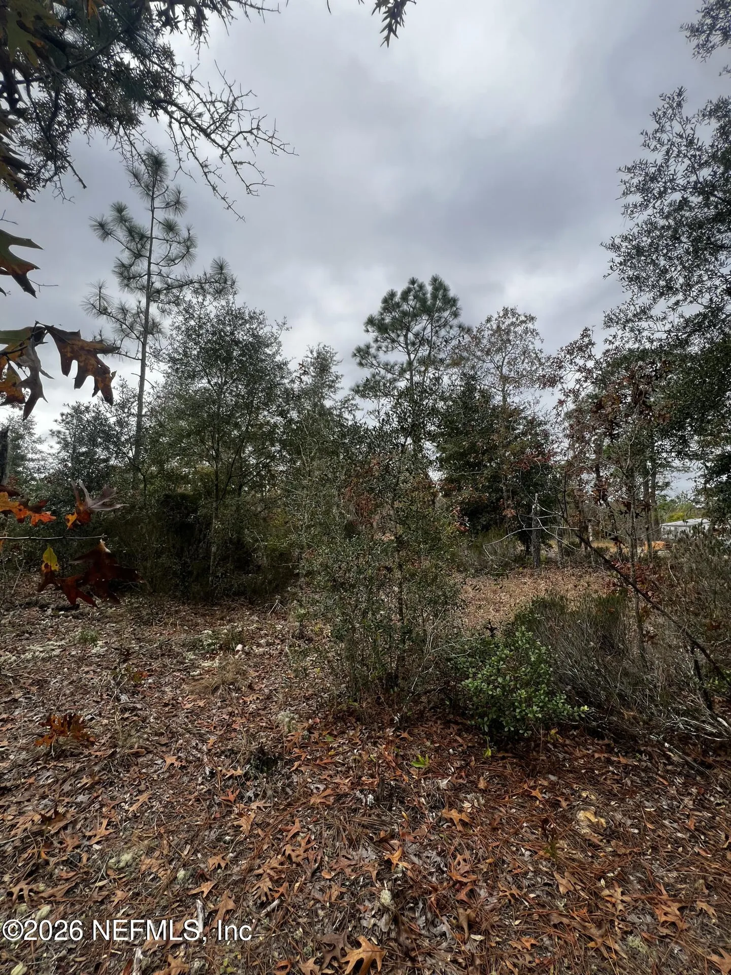 307 Lemon Street Interlachen FL 32148