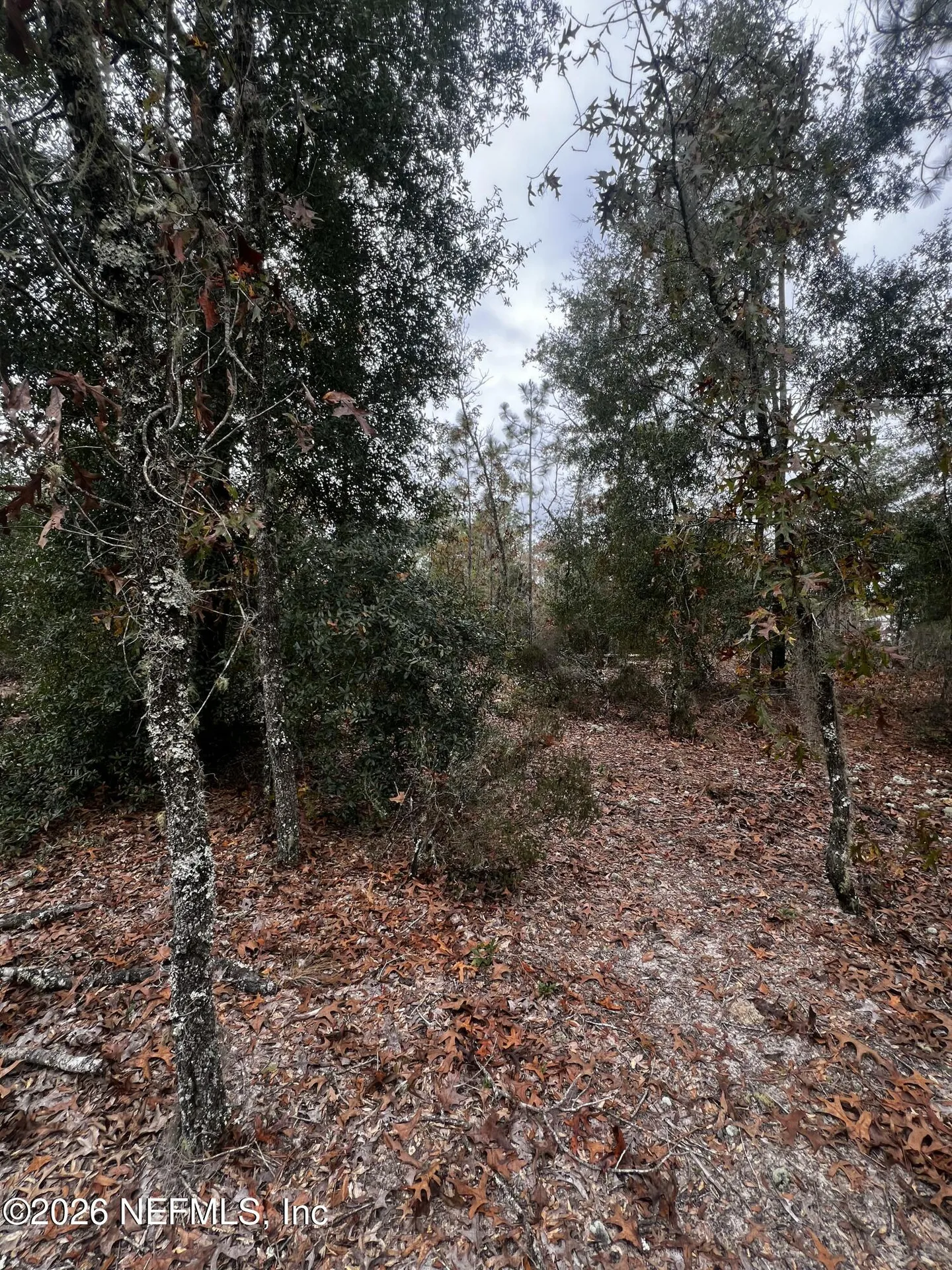 307 Lemon Street Interlachen FL 32148